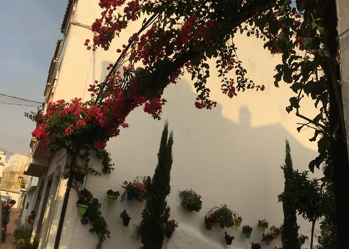 Estepona 1